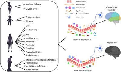 A Reciprocal Link Between Gut Microbiota, Inflammation and Depression: A Place for Probiotics?